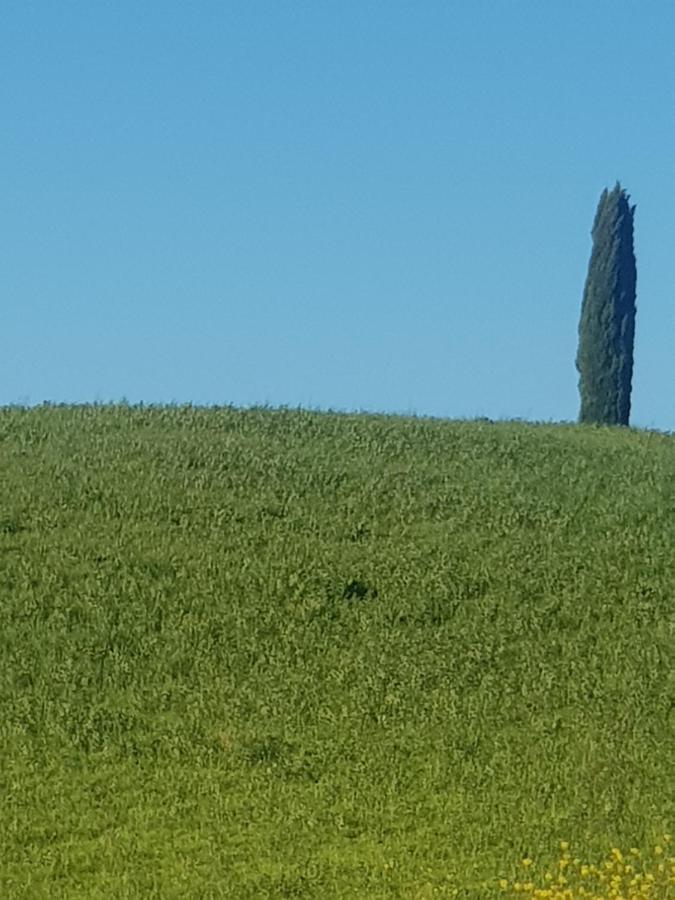 Dimora In Francigena Ξενοδοχείο San Quirico dʼOrcia Εξωτερικό φωτογραφία